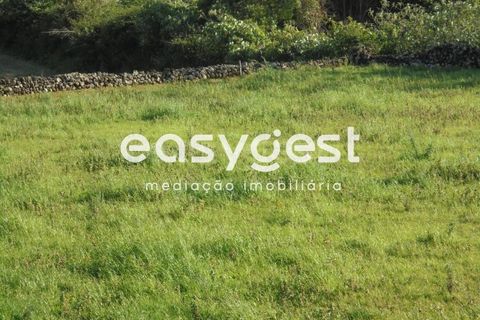 Helårsgrund i Terra Cha, Terceira, Terra Cha - € 60.000 | Ref: AZ83334MS - foto 17