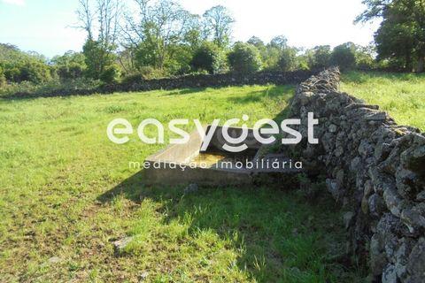 Helårsgrund i Terra Cha, Terceira, Terra Cha - € 60.000 | Ref: AZ83334MS - foto 18