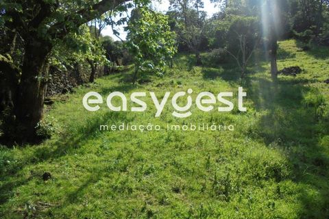 Helårsgrund i Terra Cha, Terceira, Terra Cha - € 60.000 | Ref: AZ83334MS - foto 19