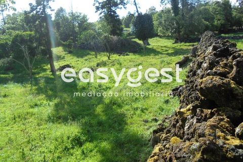 Helårsgrund i Terra Cha, Terceira, Terra Cha - € 60.000 | Ref: AZ83334MS - foto 20
