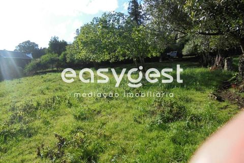 Helårsgrund i Terra Cha, Terceira, Terra Cha - € 60.000 | Ref: AZ83334MS - foto 21