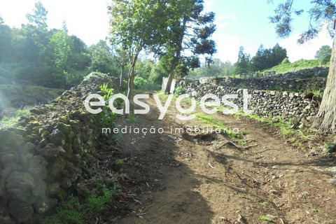 Helårsgrund i Terra Cha, Terceira, Terra Cha - € 60.000 | Ref: AZ83334MS - foto 23