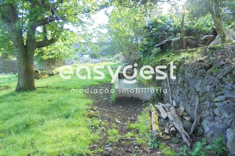 Helårsgrund i Terra Cha, Terceira, Terra Cha - € 60.000 | Ref: AZ83334MS - foto 25