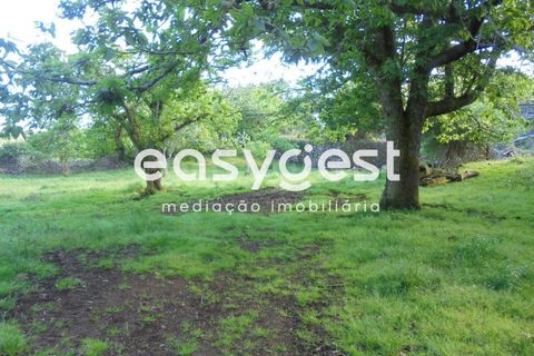Helårsgrund i Terra Cha, Terceira, Terra Cha - € 60.000 | Ref: AZ83334MS - foto 26