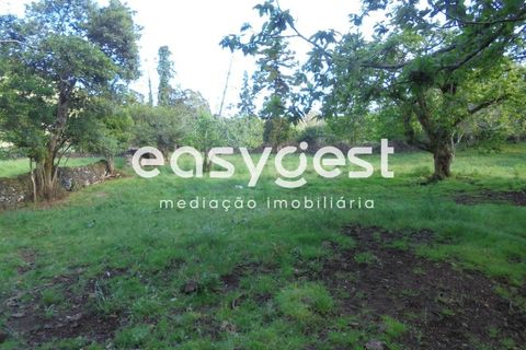 Helårsgrund i Terra Cha, Terceira, Terra Cha - € 60.000 | Ref: AZ83334MS - foto 27