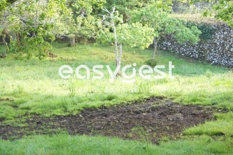 Helårsgrund i Terra Cha, Terceira, Terra Cha - € 60.000 | Ref: AZ83334MS - foto 28