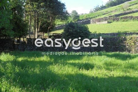 Helårsgrund i Terra Cha, Terceira, Terra Cha - € 60.000 | Ref: AZ83334MS - foto 32