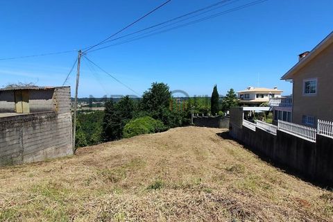 Helårsgrund i Agueda, Aveiro, Agueda - € 25.000 | Ref: IMO_177 - foto 2