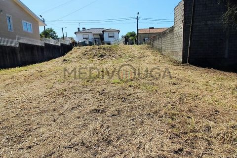 Helårsgrund i Agueda, Aveiro, Agueda - € 25.000 | Ref: IMO_177 - foto 5