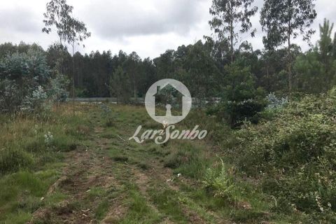 Helårsgrund i Trofa, Porto, Trofa - € 229.284 | Ref: 240-T-22625 - foto 5
