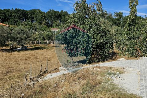 Villa i Viseu, Viseu, Viseu - € 300.000 | Ref: 1864/V - foto 12