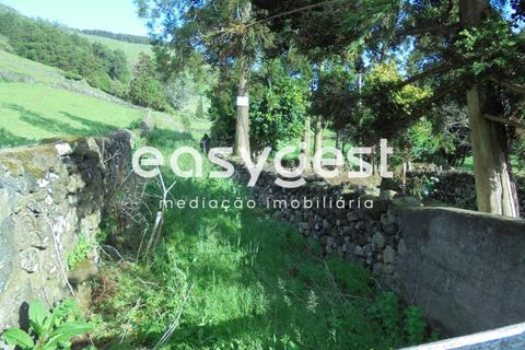 Helårsgrund i Terra Cha, Terceira, Terra Cha - € 25.000 | Ref: AZ83335MS - foto 4