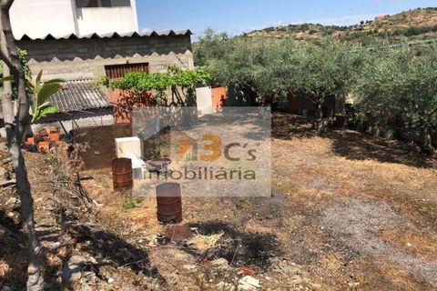 Terra a Torre de Moncorvo, Braganca, Torre de Moncorvo - € 110.000 | Ref: TER_1421 - foto 2