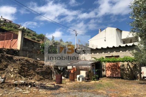 Terra a Torre de Moncorvo, Braganca, Torre de Moncorvo - € 110.000 | Ref: TER_1421 - foto 3