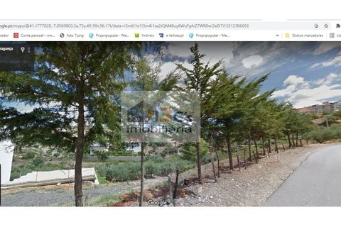 Terra a Torre de Moncorvo, Braganca, Torre de Moncorvo - € 110.000 | Ref: TER_1421 - foto 4