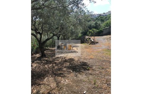 Terra a Torre de Moncorvo, Braganca, Torre de Moncorvo - € 110.000 | Ref: TER_1421 - foto 6