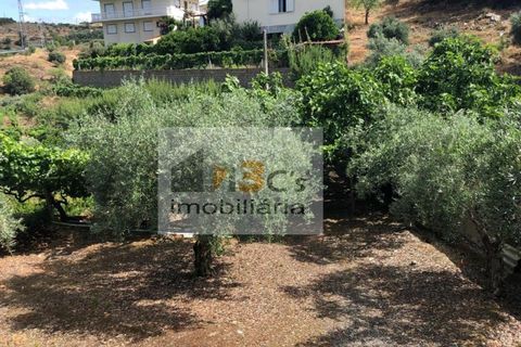 Terra a Torre de Moncorvo, Braganca, Torre de Moncorvo - € 110.000 | Ref: TER_1421 - foto 9