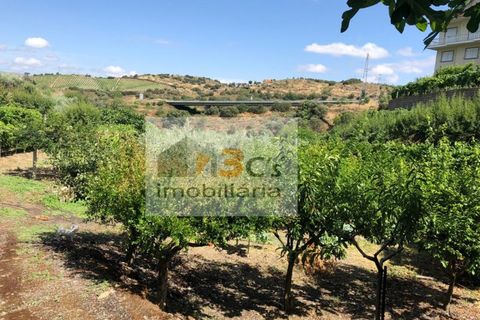 Terra a Torre de Moncorvo, Braganca, Torre de Moncorvo - € 110.000 | Ref: TER_1421 - foto 10