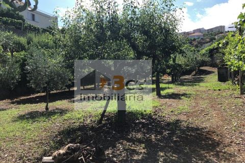 Terra a Torre de Moncorvo, Braganca, Torre de Moncorvo - € 110.000 | Ref: TER_1421 - foto 15