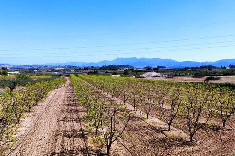 Landejendom i Agullent, Valencia, Agullent - € 48.000 | Ref: 2607 - foto 3