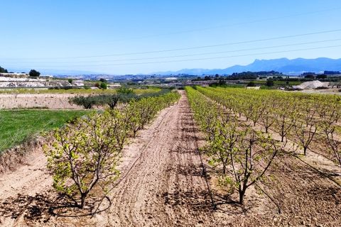 Landejendom i Agullent, Valencia, Agullent - € 48.000 | Ref: 2607 - foto 4