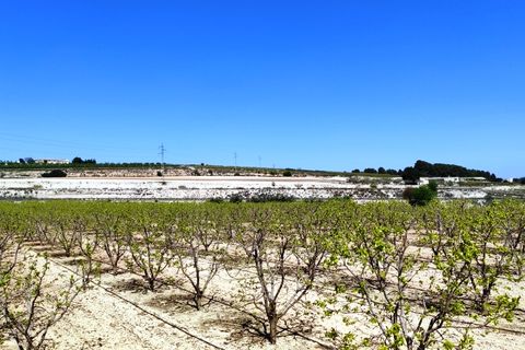 Landejendom i Agullent, Valencia, Agullent - € 48.000 | Ref: 2607 - foto 6