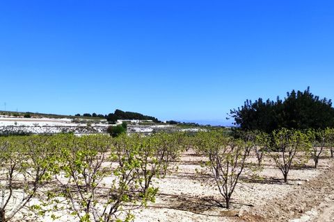 Landejendom i Agullent, Valencia, Agullent - € 48.000 | Ref: 2607 - foto 7
