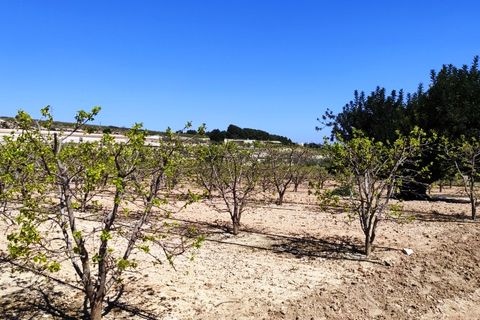 Landejendom i Agullent, Valencia, Agullent - € 48.000 | Ref: 2607 - foto 8