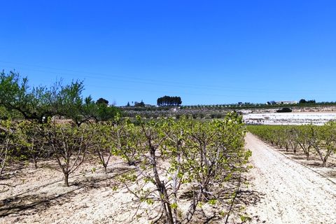 Landejendom i Agullent, Valencia, Agullent - € 48.000 | Ref: 2607 - foto 9