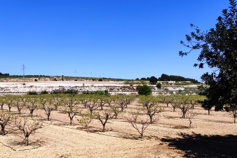 Landejendom i Agullent, Valencia, Agullent - € 48.000 | Ref: 2607 - foto 10