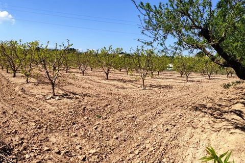 Landejendom i Agullent, Valencia, Agullent - € 48.000 | Ref: 2607 - foto 11