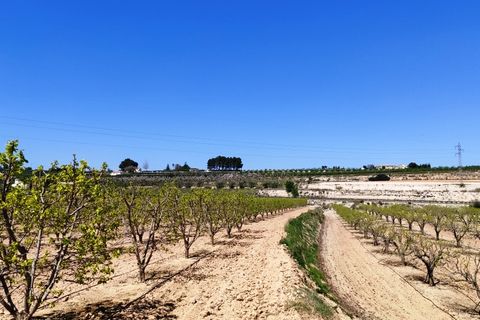 Landejendom i Agullent, Valencia, Agullent - € 48.000 | Ref: 2607 - foto 12