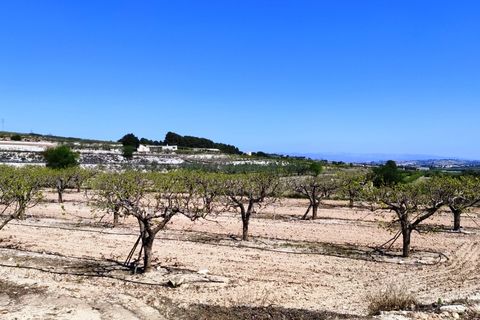 Landejendom i Agullent, Valencia, Agullent - € 48.000 | Ref: 2607 - foto 13