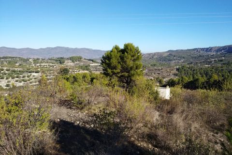 Tomt i Benillup, Alicante, Benillup - € 35 000 | Ref: 8168 - foto 2