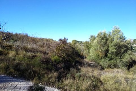 Tomt i Benillup, Alicante, Benillup - € 35 000 | Ref: 8168 - foto 3