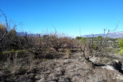 Tomt i Benillup, Alicante, Benillup - € 35 000 | Ref: 8168 - foto 4