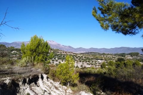 Tomt i Benillup, Alicante, Benillup - € 35 000 | Ref: 8168 - foto 6