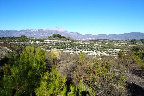 Tomt i Benillup, Alicante, Benillup - € 35 000 | Ref: 8168 - foto 7