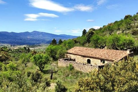 Finca i Benasau, Alicante, Benasau - € 49.000 | Ref: 2803 - foto 1