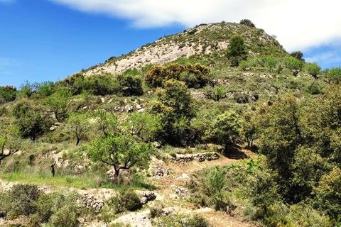 Finca i Benasau, Alicante, Benasau - € 49.000 | Ref: 2803 - foto 3