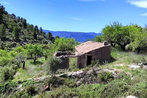 Finca i Benasau, Alicante, Benasau - € 49.000 | Ref: 2803 - foto 4