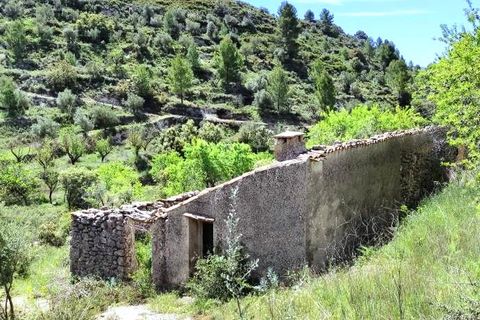 Finca i Benasau, Alicante, Benasau - € 49.000 | Ref: 2803 - foto 5