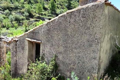 Finca i Benasau, Alicante, Benasau - € 49.000 | Ref: 2803 - foto 6