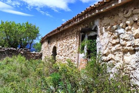 Finca i Benasau, Alicante, Benasau - € 49.000 | Ref: 2803 - foto 7