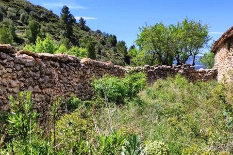 Finca i Benasau, Alicante, Benasau - € 49.000 | Ref: 2803 - foto 8