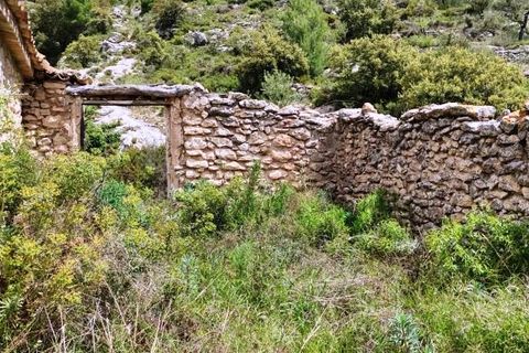 Finca i Benasau, Alicante, Benasau - € 49.000 | Ref: 2803 - foto 9