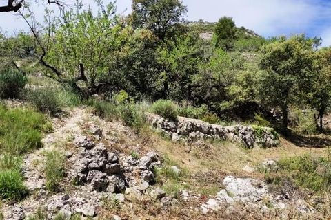 Finca i Benasau, Alicante, Benasau - € 49.000 | Ref: 2803 - foto 17