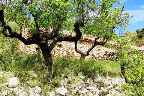 Finca i Benasau, Alicante, Benasau - € 49.000 | Ref: 2803 - foto 18