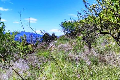 Finca i Benasau, Alicante, Benasau - € 49.000 | Ref: 2803 - foto 19