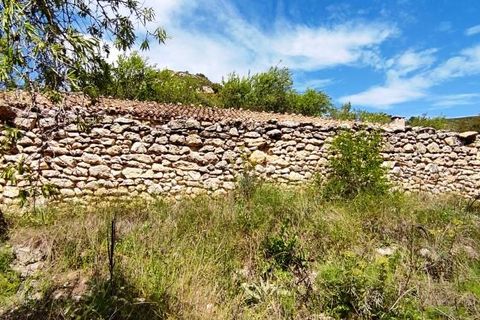 Finca i Benasau, Alicante, Benasau - € 49.000 | Ref: 2803 - foto 20